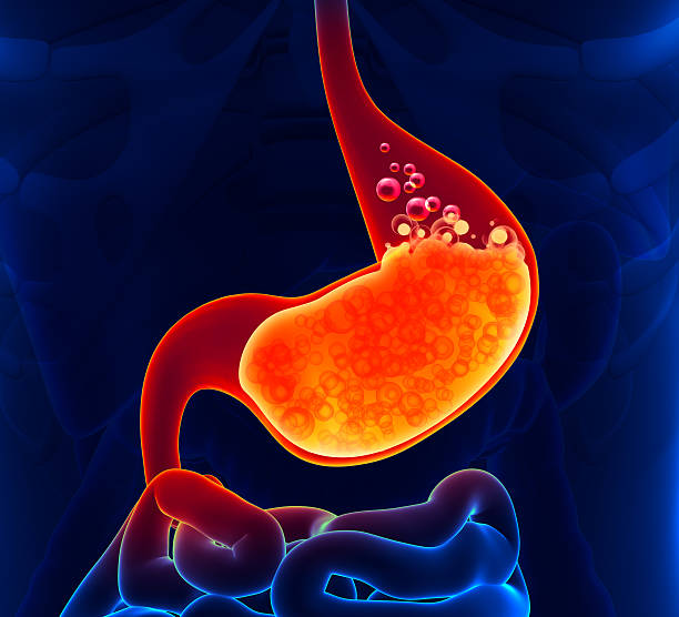 gastro