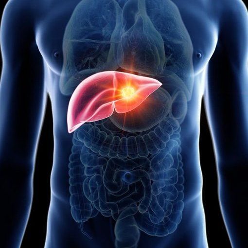 Best Liver Surgery Doctor in Gujarat