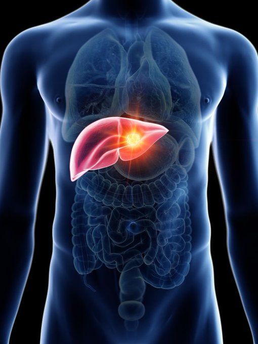 Best Liver Surgery Doctor in Gujarat