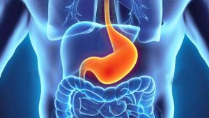 Best Pancreas Surgery in Gujarat